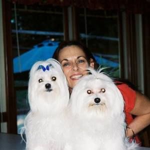 Meet your Posher, Sylvie